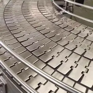 Hairise SS chain conveyor system used in beer & beverage industry