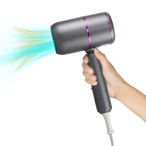 High-Speed 1300W Professional Salon Hair Dryer Travel Portable Ionic Infared with Wall Mount for Hotel Use CE Certified