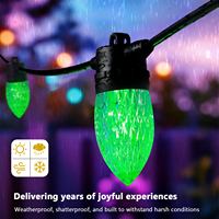 Guirlandes lumineuses LED RGBW commerciales pour extérieur, DC24 36V, contrôle intelligent, IP65, étanches, ampoules LED musicales