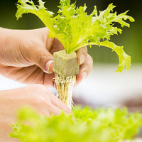 Livraison rapide taille commune stock en vrac cubes de laine de roche agriculture laine de roche pour la plantation