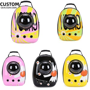 Sac à dos de voyage portable pour animaux de compagnie, sac à bulles transparent pour chat et chien pour l'extérieur - Product Image 1