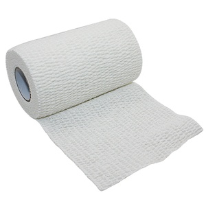 Nastro Sportivo EAB da 10cm, Benda Adesiva Elastica Leggera, Supporto per Ginocchio, Fasce per Caviglia, Protezione per Pollice, Gancio per Sollevamento Pesi, Accessorio da Palestra - Product Image 1