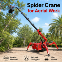 Grue araignée compacte de 4 tonnes avec stabilisateurs hydrauliques pour les projets d'installation de murs-rideaux en verre