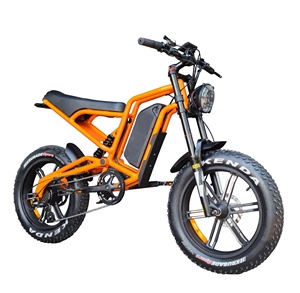 Moto Tout-Terrain Électrique 1200W pour Adultes Longue Portée Moteur Moyeu Arrière Batterie 48V 20Ah Pneus Larges Numérique Alliage d'Aluminium Montagne 45km/h Acier - Product Image 1