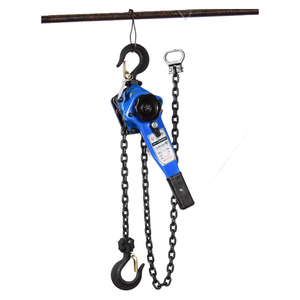 Palans à levier <span class=keywords><strong>de</strong></span> haute qualité 0,75 tonne 3 mètres Palan à <span class=keywords><strong>chaîne</strong></span> manuel à levier <span class=keywords><strong>de</strong></span> haute qualité - Product Image 3