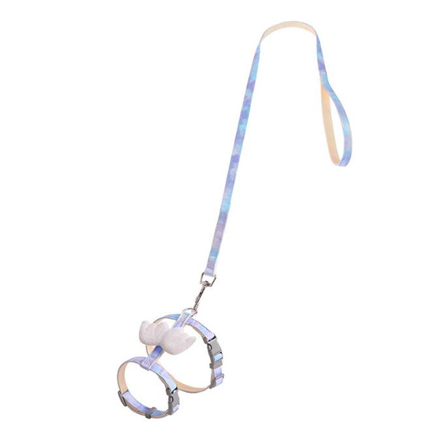 Type1: aile bleue