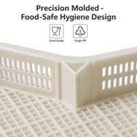Plateau de congélation IQF en plastique HDPE de qualité alimentaire certifié CE RoHS, empilable, perforé, écologique, pour fruits de mer, viande, fruits et produits surgelés