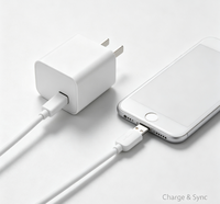 Adaptateur secteur USB à port unique + câble USB vers PVC, kit de charge rapide pour iPhone, ensemble de charge pour téléphone portable