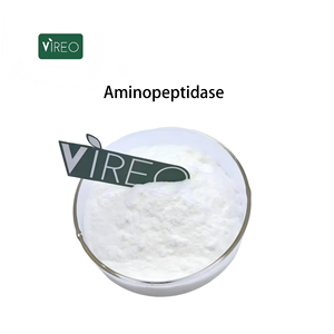Compléments alimentaires Poudre d'aminopeptidase Aminopeptidase - Product Image 1