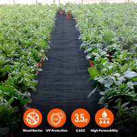 PP/PE couverture de sol en plastique paillis tapis de couverture des terres tissu de mauvaises herbes de jardin en rouleau tapis de bloc de mauvaises herbes robuste pour lit de fleurs