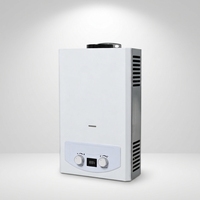 Chauffe-eau instantané au gaz de type cheminée 6-16L à performance stable pour le marché sud-américain