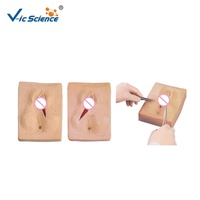 Simulador de Entrenamiento de Sutura de Vulva para Ciencias Médicas, Modelo de Entrenamiento de Corte y Sutura de Perineo, Modelo Educativo