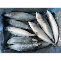 Exportation d'usine de maquereau du Pacifique entier congelé IQF 100-200g 200-300g Carton de 10kg Marché des produits de la mer d'Asie du Sud-Est