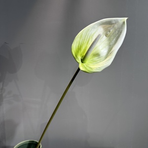 Anthurium Flower Real Touch Pink Lily PARA EL Año Nuevo chino y el arreglo floral de Acción de Gracias boda hogar ecor - Product Image 4