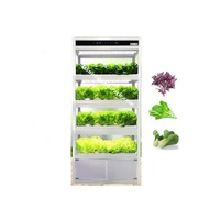 Système hydroponique vertical de machines végétales hydroponiques d'utilisation à la maison avec la lumière
