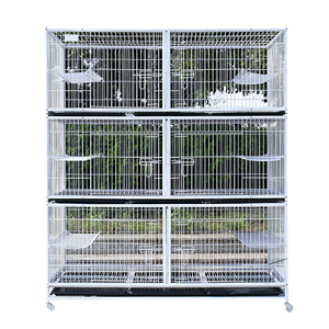 Venta al por mayor de <span class=keywords><strong>metal</strong></span> perro gato cría Perrera de alta calidad jaulas para mascotas pequeña jaula para gatos grandes de interior - Product Image 3