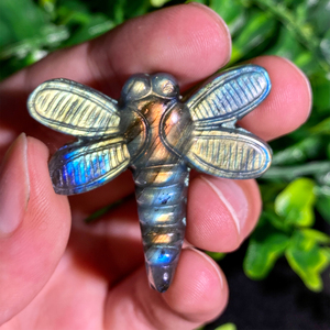 Bán buôn tinh thể tự nhiên đá màu xanh Flash Labradorite pha lê Labradorite chuồn chuồn khắc để trang trí - Product Image 6