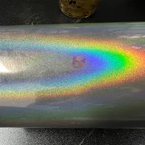 Holographic Auto Paint Pigment Silver Colorshift Watercolor Holo Powder