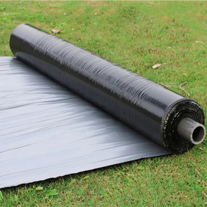 Hot Sales Factory Supply Plastic Mulch Laag Voor Plant/Agrarische Plastic Mulchen Vel/Zilveren Shine Plastic Mulch Films