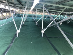 Rollo de PET <span class=keywords><strong>PP</strong></span> PPS reciclable con impresión UV Hoja de protección de plástico tejido transpirable para prevención de malezas Resistencia al deterioro
