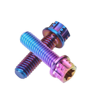 チタンねじM6 M8 M10六角梅フランジヘッドねじGr5チタンボルト - Product Image 1