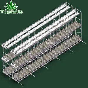 Greenhouse hidroponia sistema de cultivo interno vertical rack com luz crescente