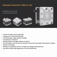 Kit Générateur HHO Prix de Gros Économiseur de Carburant à Hydrogène Pile à Combustible à Hydrogène PEM Kit Hydrogène Automobile Électrolyseur PEM