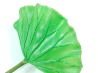Plante artificielle en forme de feuille de lotus, petite et écologique, à prix compétitif, pour la décoration intérieure de remise de diplôme, de mariage et du Nouvel An