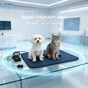 Appareil de thérapie magnétique PEMF économique pour réduire la raideur musculaire, appareil PEMF magnétique domestique pour animaux. - Product Image 1