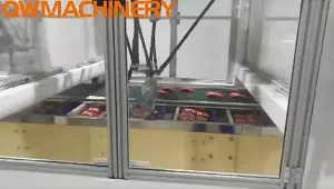 Robot Arm Pick And Place For Sachet Bags Box Carton Packing Machine