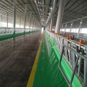 Estructura de Acero para Construcción de Establos de Vacas <span class=keywords><strong>con</strong></span> Acero Q345B para un Diseño de Granja Eficiente y Duradero - Product Image 3