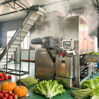 Stoomschilmachine voor appel en peer, bladloze schiller met complete pulp voor gedroogd fruit en conservenverwerking