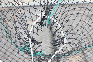 Trampa de peces <span class=keywords><strong>covo</strong></span> de mar profundo, plegable, grande, comercial, con 2 entradas - Product Image 5