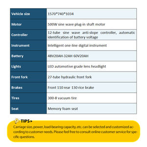 Bicicleta Eléctrica para Adultos <span class=keywords><strong>Trimoto</strong></span> Eléctrica de 500W con Rango Máximo de 50 km y Batería de 48V 20A - Product Image 6