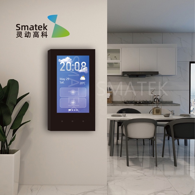 Tuya Smart Devices Scenes Controller Smart Home Kits System Support Smart Switch Australian Standard (Black)