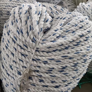 Bền danline xoắn dây 3-Strand bện <span class=keywords><strong>PP</strong></span> Nylon polyester sợi bao bì 6mm 16mm <span class=keywords><strong>26mm</strong></span> 28mm32mm biển Neo dây Reel - Product Image 3