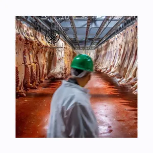 Harga grosir pemasok cina peralatan garis penyembur sapi Abattoir pengolahan daging Halal untuk peralatan Abattoir ternak