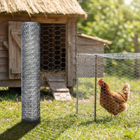 Rouleau de grillage hexagonal galvanisé à chaud pour cages de gabions, protection des pentes, clôtures avicoles, service de découpe sur mesure