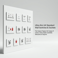 Prise murale ultra-fine ignifuge en PC, norme britannique, avec ports USB, IP22, pour projets industriels, résidentiels, hôteliers et d'ingénierie