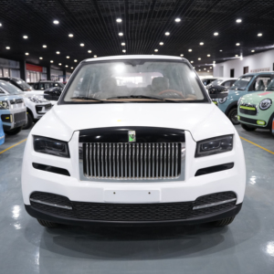 Il Veicolo Elettrico Più Venduto per Uso Domestico, Trazione Integrale, Decorazione di Lusso, per la Guida di Adulti - Product Image 1