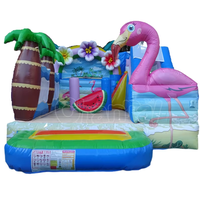 Château gonflable Flamingo, jeux de carnaval, trampoline gonflable, parc d'obstacles gonflable, aire de jeux gonflable