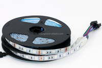 Tira de luz Rgb que cambia de Color DC12v 24V SMD 5050, tira de luz LED impermeable de Ambiente de 10mm, tira de luz de fondo