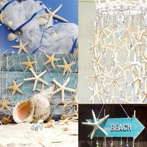 20 Piezas de Estrellas de Mar Naturales de 2-4 Pulgadas para Decoración de Bodas con Temática de Playa, Manualidades, Adornos para Árboles de Navidad - Product Image 6