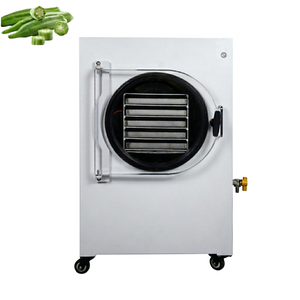 Hfd-4 Vacuum Freeze Dryer Electric Heating Food Processing 304 Stainless Steel Home Use 2-3kg Capacity - Product Image 1