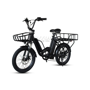 Bicicleta Eléctrica de Carga de 48v 350w con 2 Ruedas, 7 Velocidades y Desviador - Product Image 3