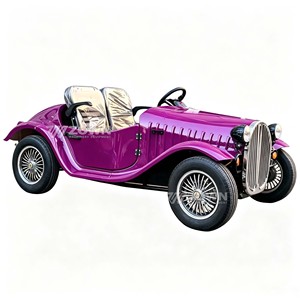 Voiture de tourisme compacte ZOWN, style vintage, facile à manœuvrer pour les allées étroites et le transport dans les petites zones touristiques - Product Image 3