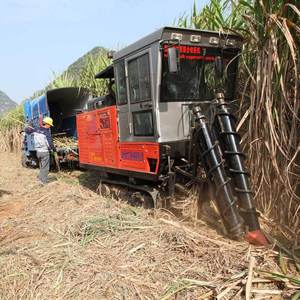 Récolteuse automatique de canne à sucre, équipement agricole, moissonneuse-batteuse, machine utilisée pour la récolte de la canne à sucre - Product Image 6