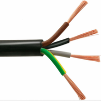 Kabel Tembaga Fleksibel Berisolasi PVC 450V 750V Multicore 2/3/4 Inti untuk Aplikasi Pemanasan