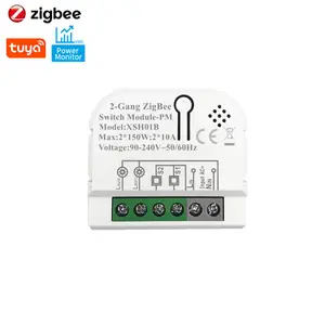 Módulo de interruptor inteligente con monitoreo de energía, Mini relé de luz compatible con Alexa, Google Home, Yandex, Alice, Tuya, 2 Gang Zigbee