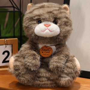 Mô hình mèo loạt nhồi bông Đồ chơi nhồi bông món quà sinh nhật bán buôn - Product Image 5